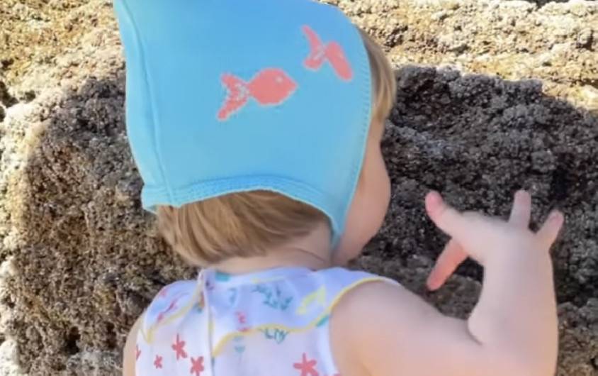 Capota Turquesa Peces Kids Chocolate Unisex en Maunaloakids